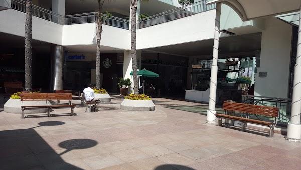 Imagen 32 Tienda Doña Basilia foto