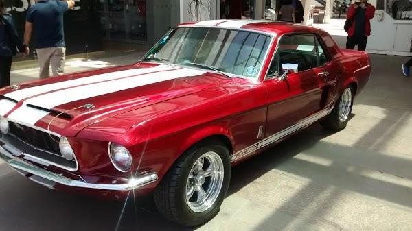 Imagen 35 Tienda Doña Basilia foto