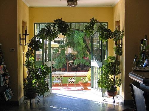 Imagen 9 Tienda Doña Basilia foto