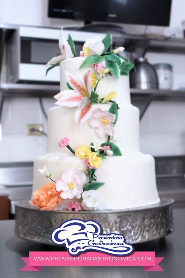 Imagen 70 DiR Castillejos foto