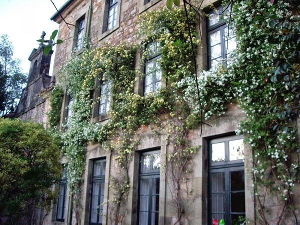 Imagen 1 Utopia Las Palmas foto