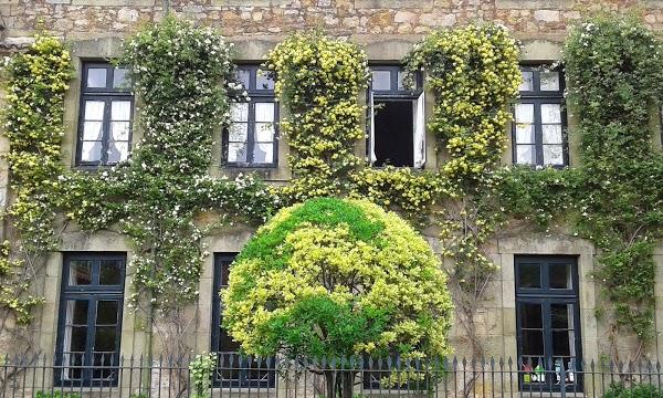 Imagen 16 Utopia Las Palmas foto