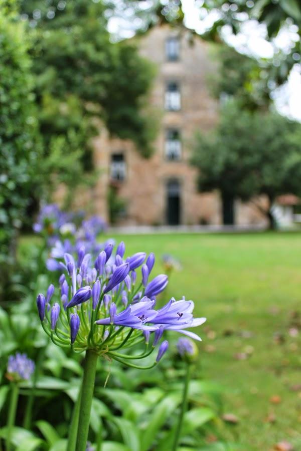 Imagen 17 Utopia Las Palmas foto