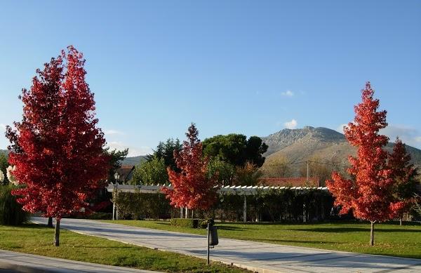 Imagen 12 Biblioteca Vapor Badia foto