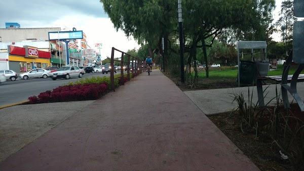 Imagen 20 Vidrios y Cristales Industrializados, S.A. de C.V. foto