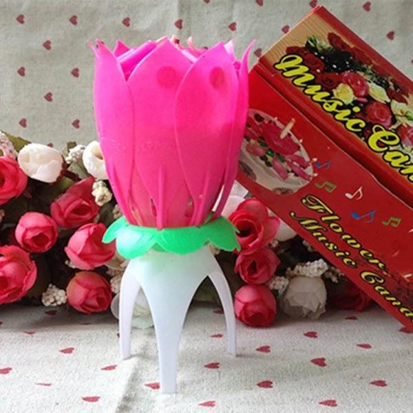 Imagen 22 Vidrios y Cristales Industrializados, S.A. de C.V. foto