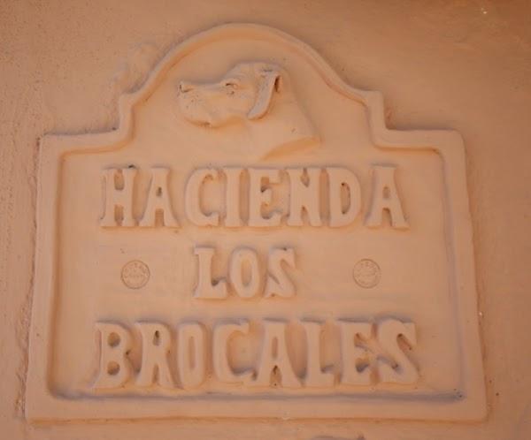 Imagen 35 Restaurante Los Brocales foto