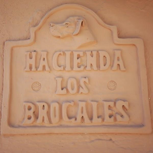 Imagen 77 Restaurante Los Brocales foto