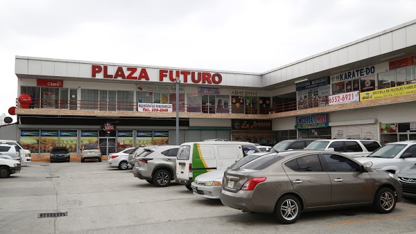 Imagen 137 plaza futuro foto