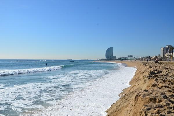 Imagen 15 Museo Civico Correr foto