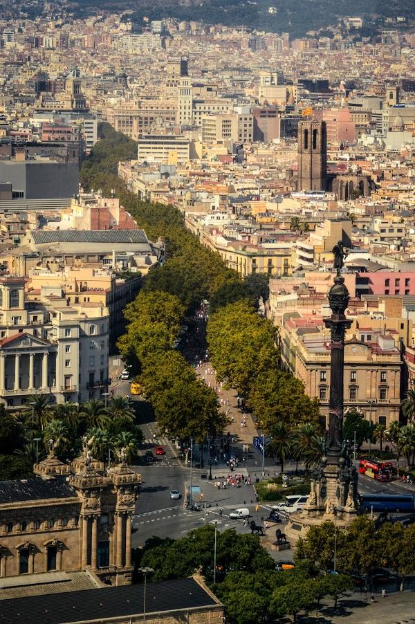 Imagen 9 Museo Civico Correr foto