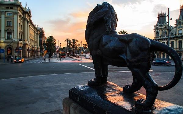 Imagen 10 Museo Civico Correr foto