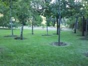 Imagen 15 Elizabethan Lodge foto
