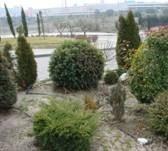 Imagen 20 Elizabethan Lodge foto