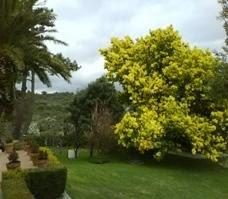 Imagen 3 Elizabethan Lodge foto
