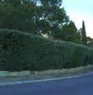 Imagen 6 Elizabethan Lodge foto