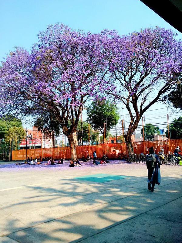 Imagen 39 La Marea Beach Club - Salinas foto