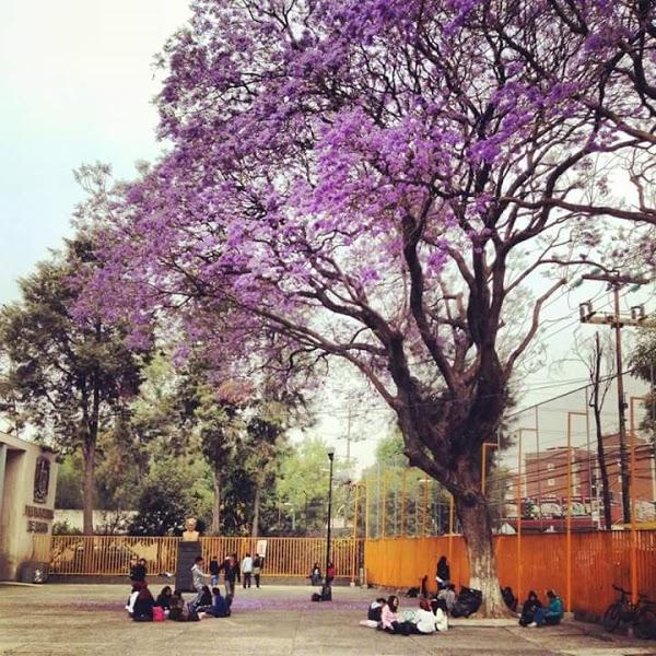 Imagen 45 La Marea Beach Club - Salinas foto