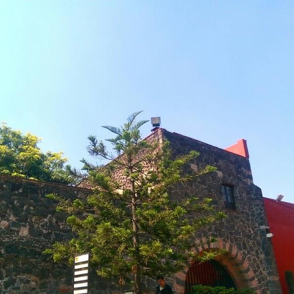 Imagen 4 Tiendanimal foto