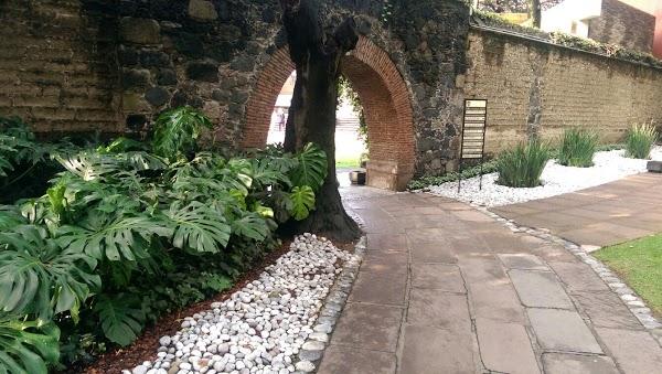 Imagen 5 Tiendanimal foto