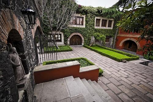 Imagen 7 Tiendanimal foto