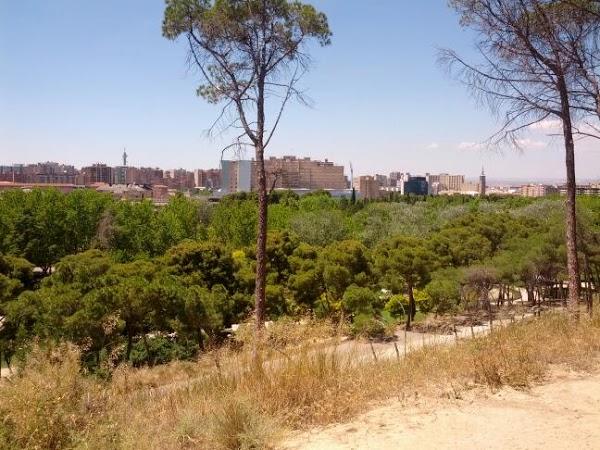 Imagen 8 Udire ags Sordità foto