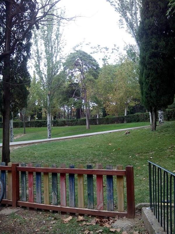 Imagen 9 Udire ags Sordità foto