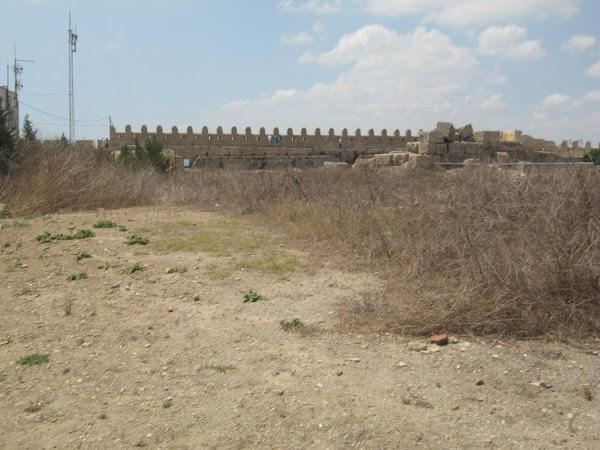 Imagen 10 Udire ags Sordità foto