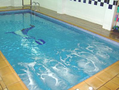 Imagen 9 AMC Importaciones y servicios foto