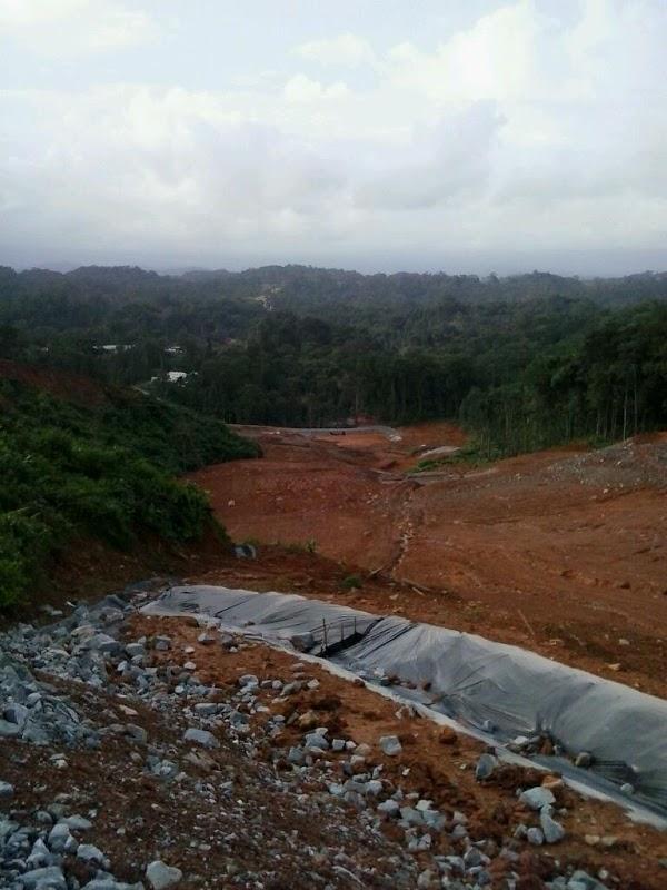 Imagen 2 TIENDA DE MASCOTAS MI LINDA foto