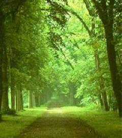 Imagen 4 TIENDA DE MASCOTAS MI LINDA foto