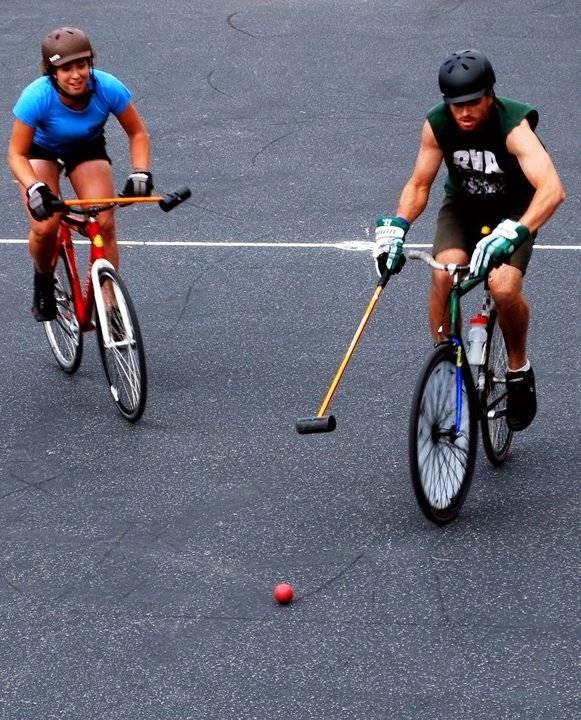 Imagen 8 TIENDA DE MASCOTAS MI LINDA foto