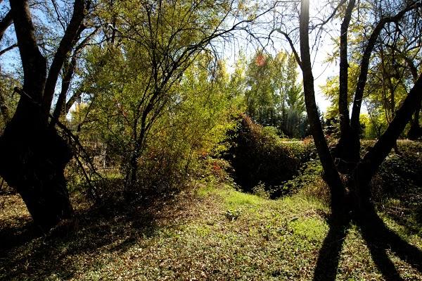 Imagen 44 Ó ALAMBIQUE DE MANZANARES foto