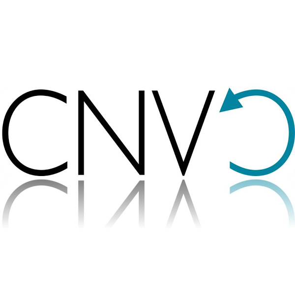 Imagen 45 Ó ALAMBIQUE DE MANZANARES foto