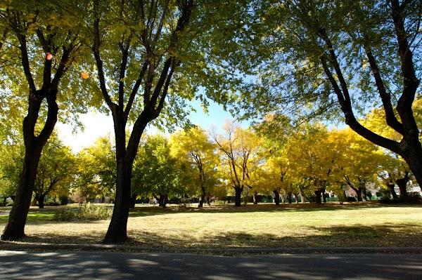 Imagen 69 Ó ALAMBIQUE DE MANZANARES foto