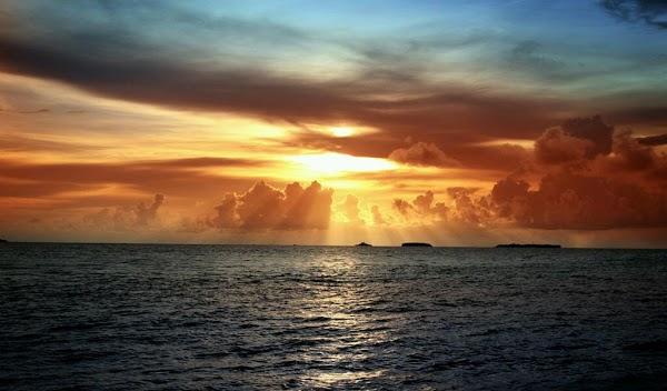 Imagen 1 Shure Lubricantes S.A. de C.V. foto