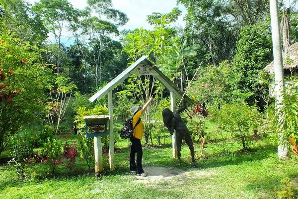 Imagen 10 Tartería foto