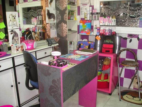 Imagen 19 Banys i cuines Calandín foto