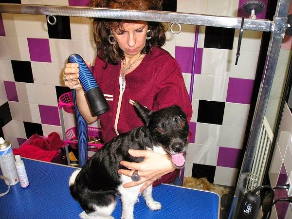 Imagen 20 Banys i cuines Calandín foto