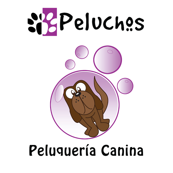 Imagen 27 Banys i cuines Calandín foto