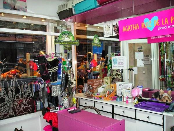 Imagen 4 Banys i cuines Calandín foto