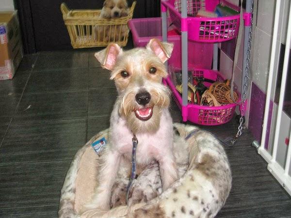 Imagen 5 Banys i cuines Calandín foto