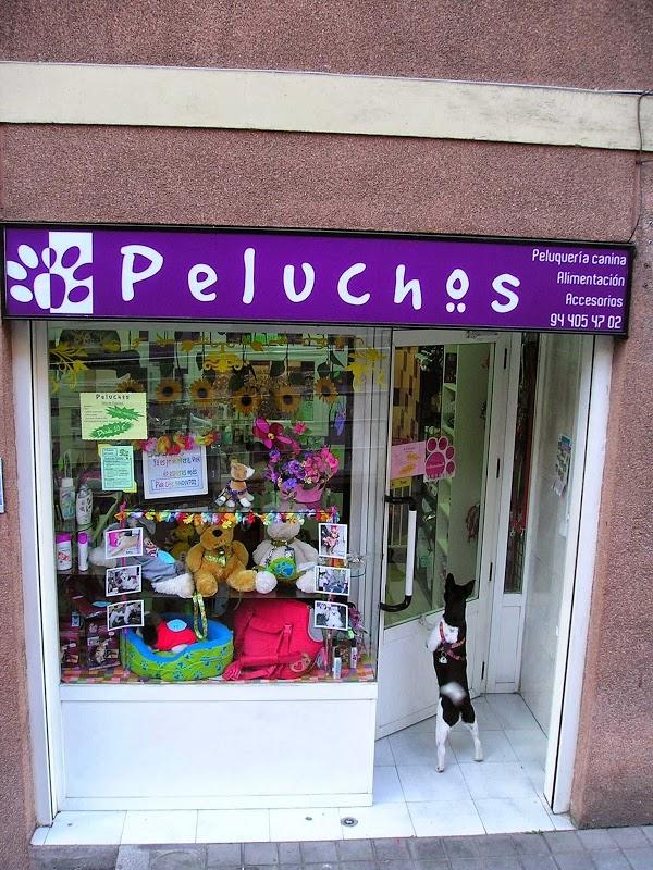 Imagen 7 Banys i cuines Calandín foto