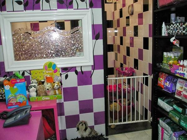 Imagen 10 Banys i cuines Calandín foto