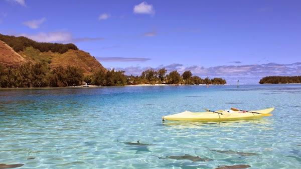 Imagen 1 LAVANDERIA LA ESPUMITA foto