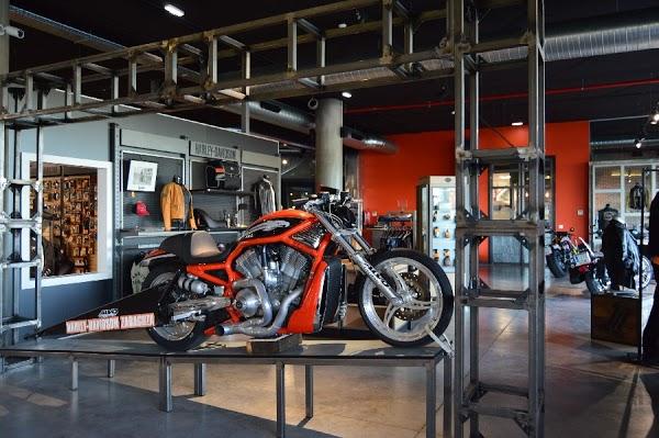 Imagen 81 Alvo Moto Racing foto