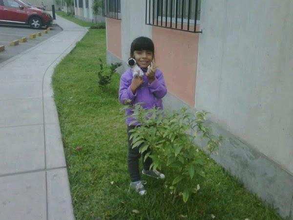 Imagen 15 Centro Privado de Enseñanza Pureza de María foto