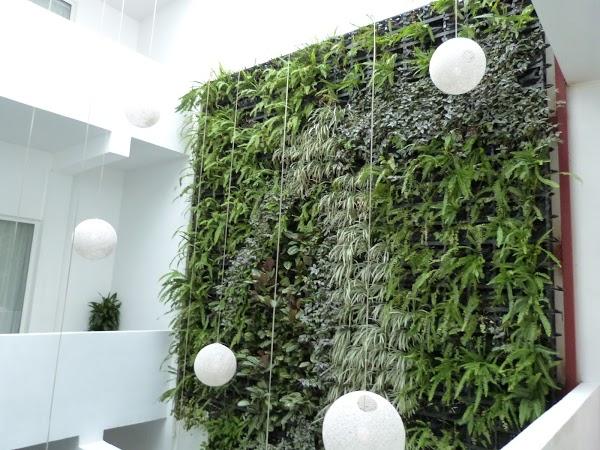 Imagen 34 Massatto foto