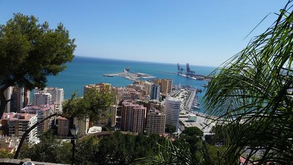 Imagen 15 Floristeria Maranatha foto