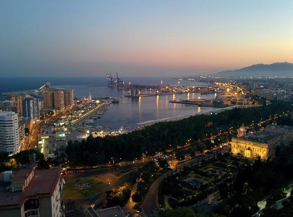 Imagen 17 Floristeria Maranatha foto